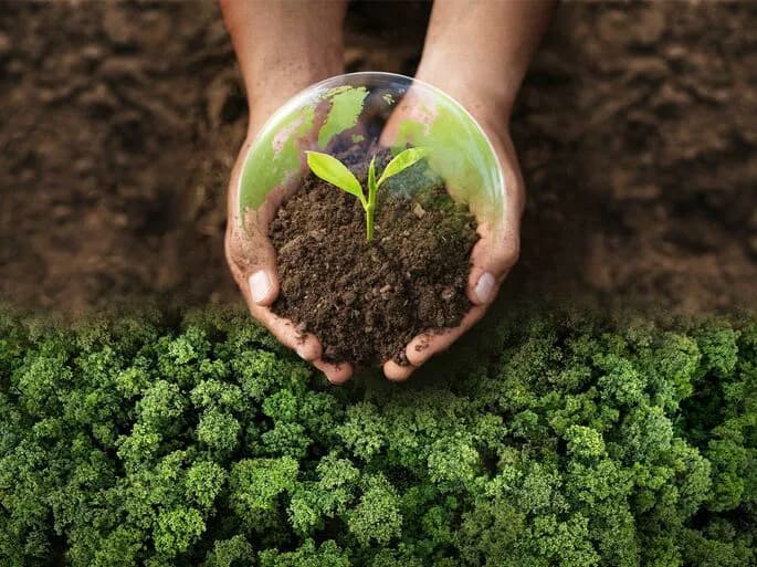 Demolição com responsabilidade ambiental